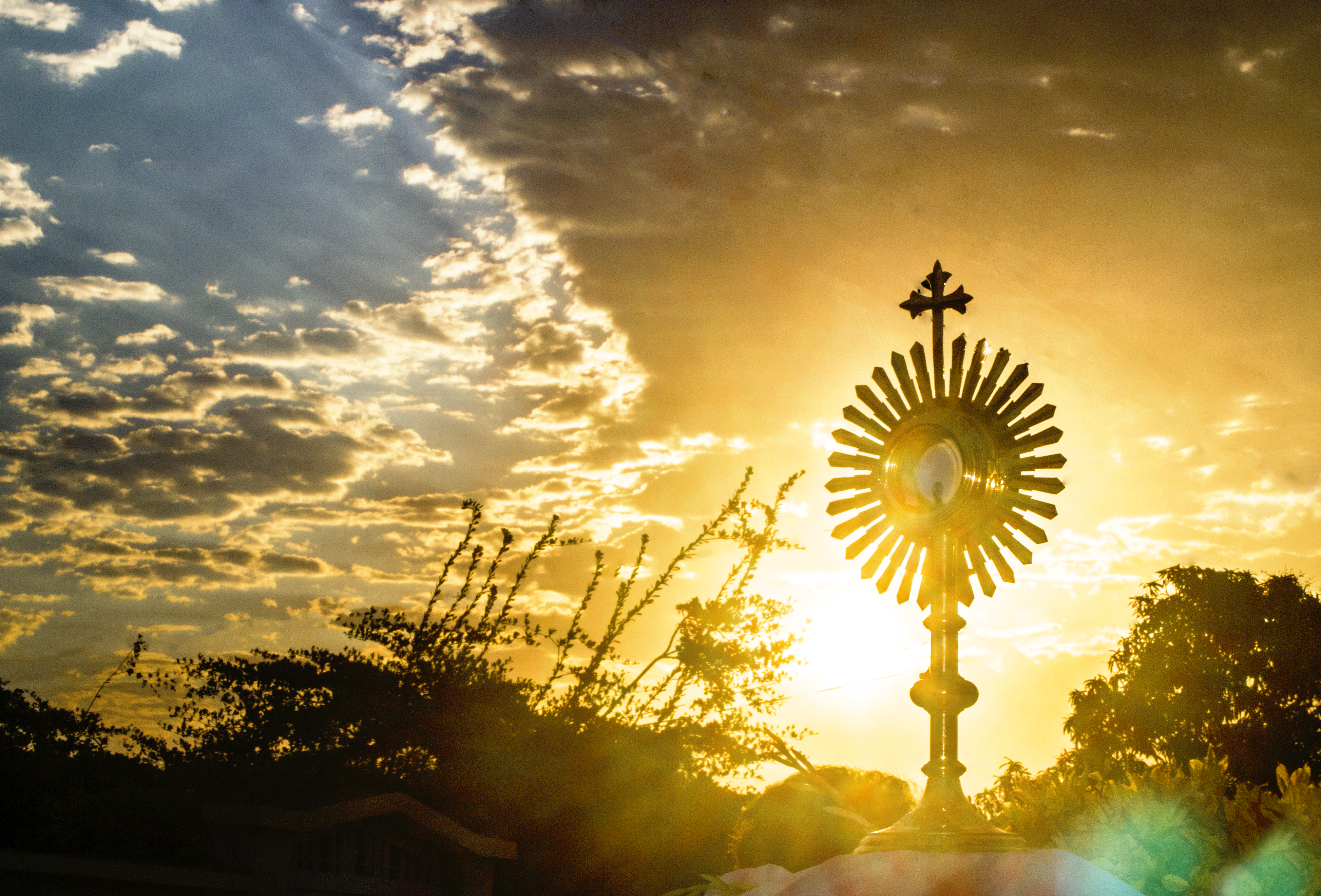 LA ESPERA, pan del cielo, camino felicidad, locura de amor