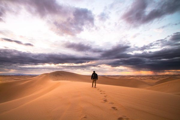 El desierto