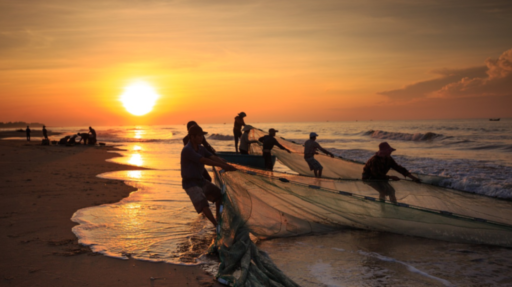 Celibato. DE ESCRIBAS Y PESCADORES